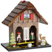 Погодный домик TFA 48150308